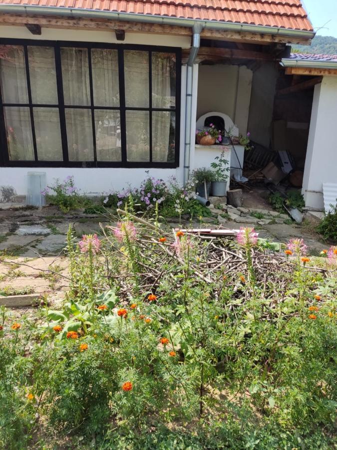 Къща За Гости Хайк Beli Osum Exterior photo